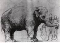 rembrandt olifant